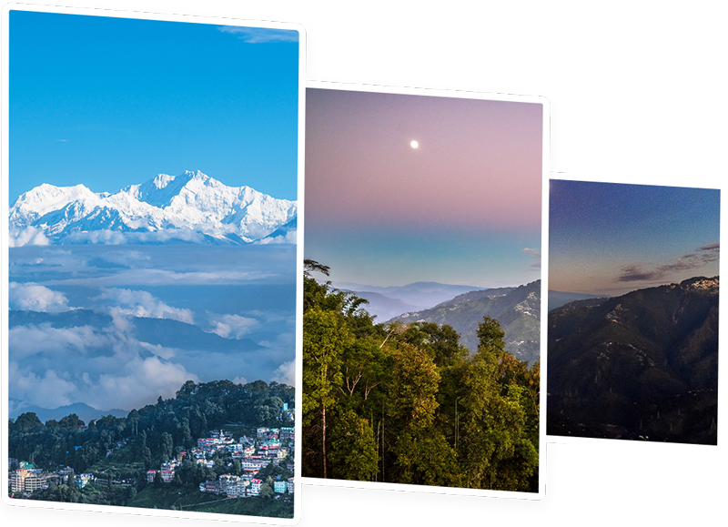 A Feast for the Senses